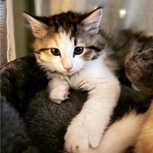 Meet your Posher, Jill